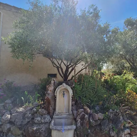 Rez De Terrasse Piscine
