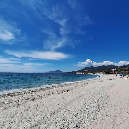 Homestay Rez De Terrasse Piscine Hyeres